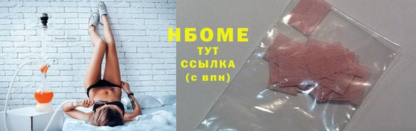 шишки Аркадак