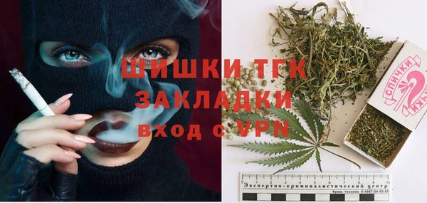 сатива Балахна
