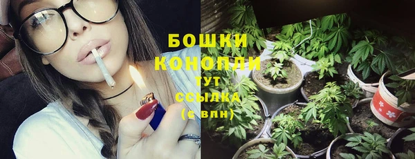 сатива Балахна