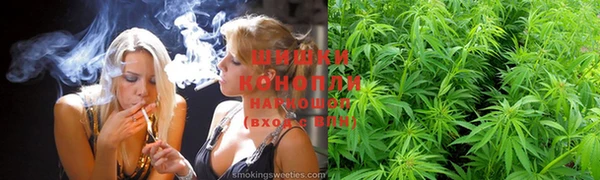 сатива Балахна