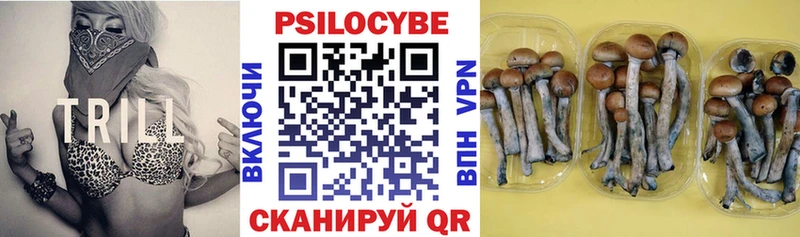 Галлюциногенные грибы Cubensis  даркнет сайт  Льгов 